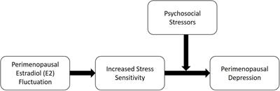 Estradiol Fluctuation, Sensitivity to Stress, and Depressive Symptoms in the Menopause Transition: A Pilot Study